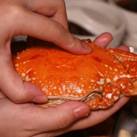 深圳性价比高的五星级酒店自助餐,深圳六星级自助餐酒店