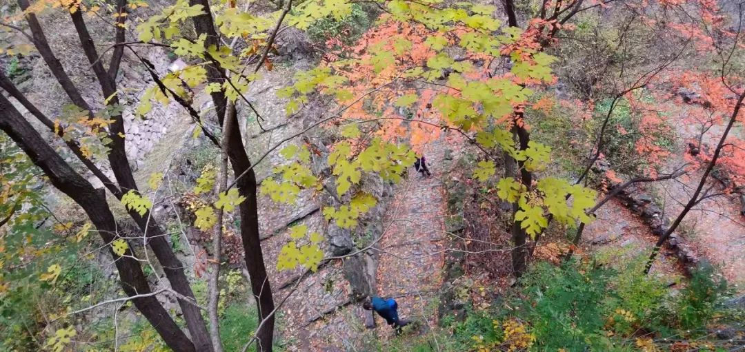 秋香四溢的白陉古道，诗意正浓