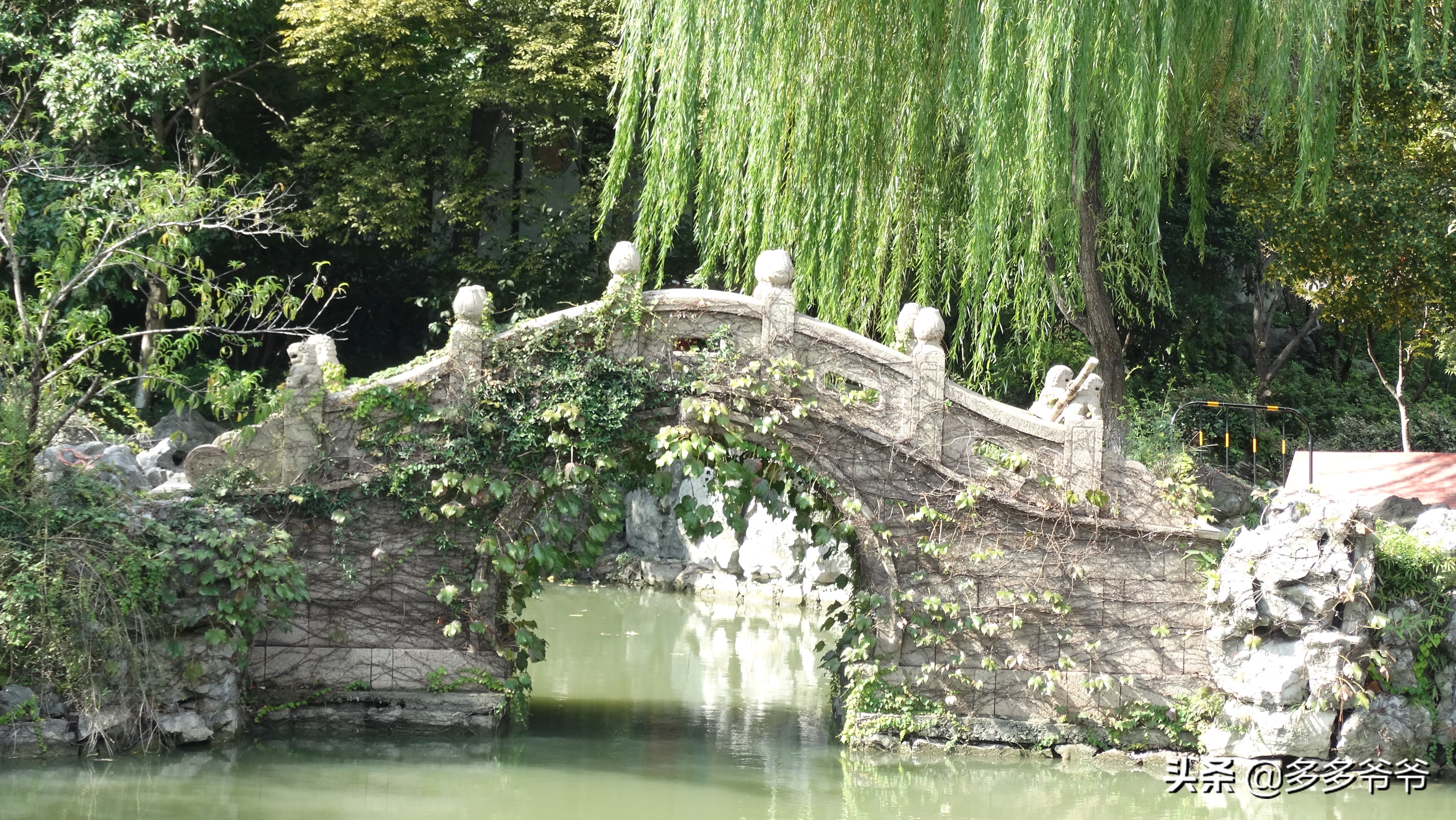 常州武进区全国第一,常州第一大镇是哪个镇