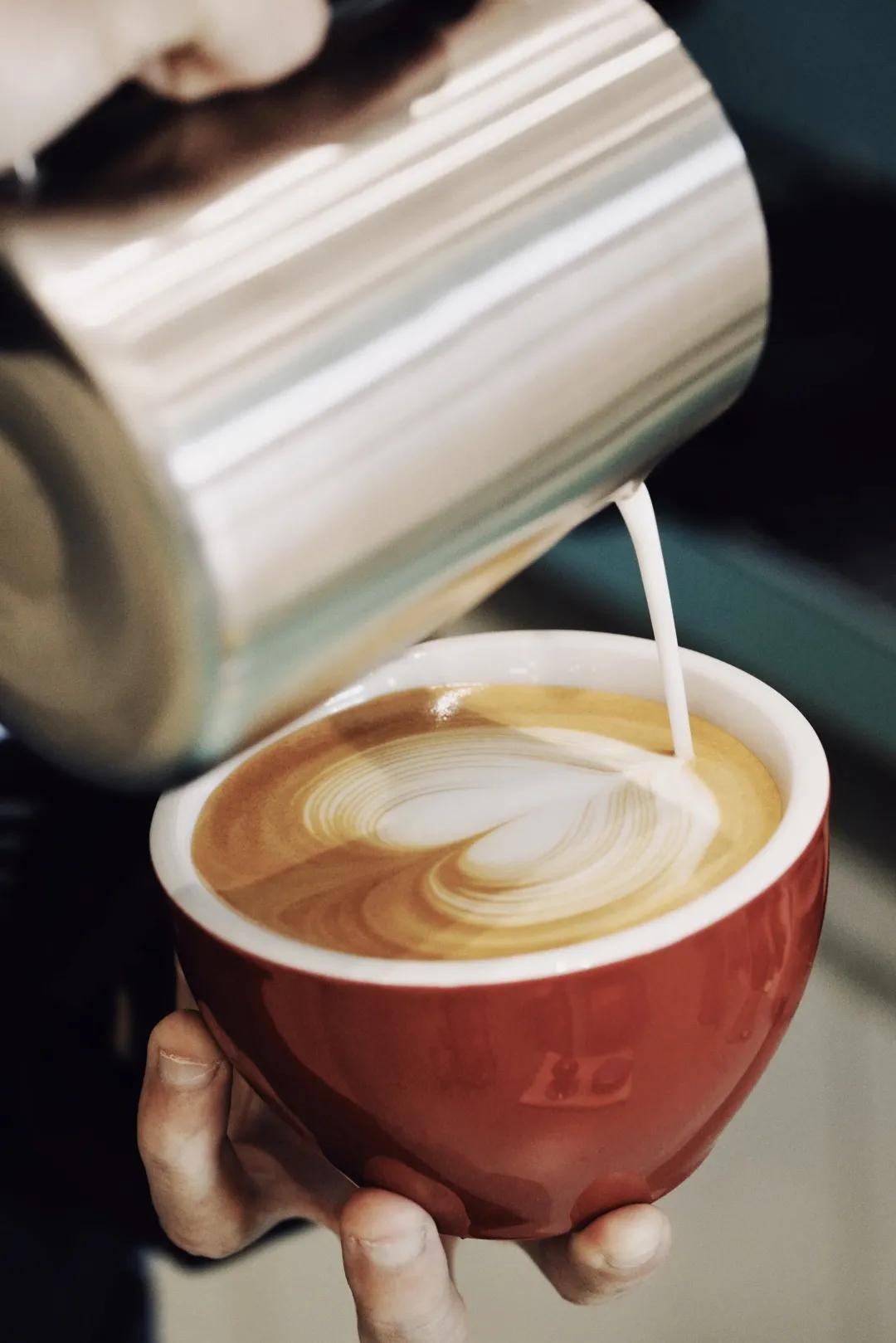 洛阳必打卡书店,洛阳闻山君竹书店