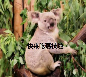 你离水果自由只差一步！