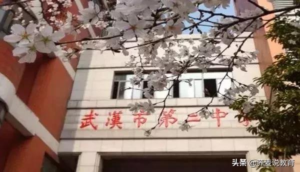武汉排名前十的初中和高中,武汉各区初高中排名