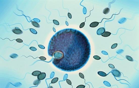 前列腺炎导致不育能试管吗,前列腺炎和非细菌性的区别