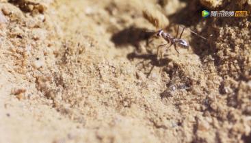 被吹爆的神片,被吹上天的神作