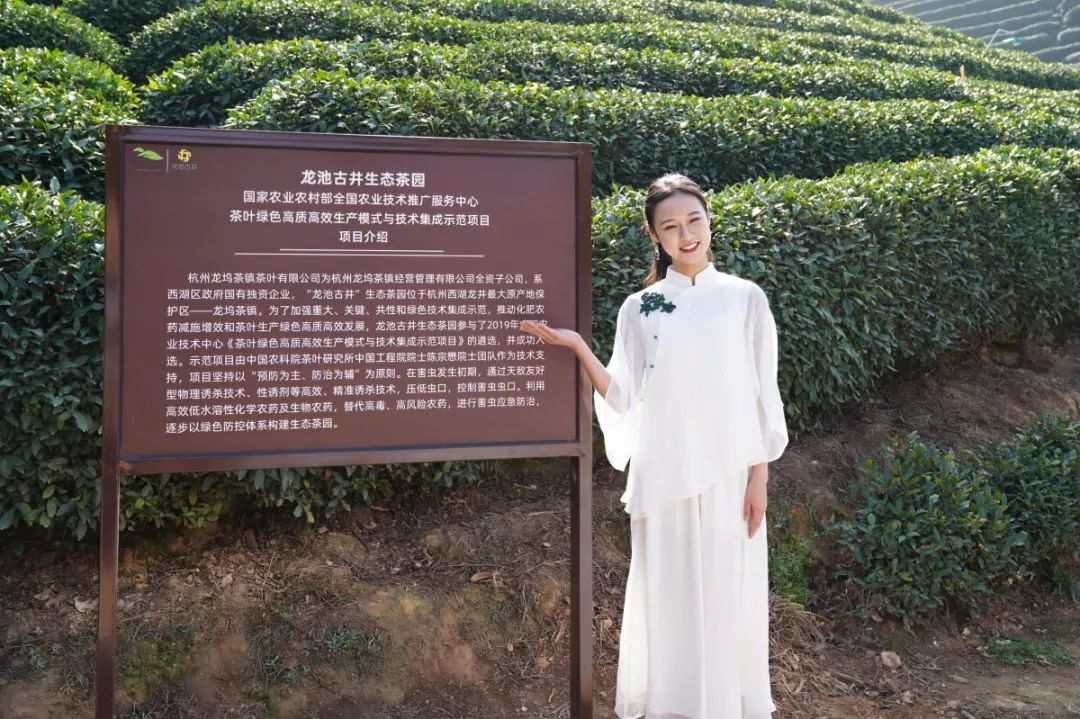 茶艺形象大使,茶艺代言人