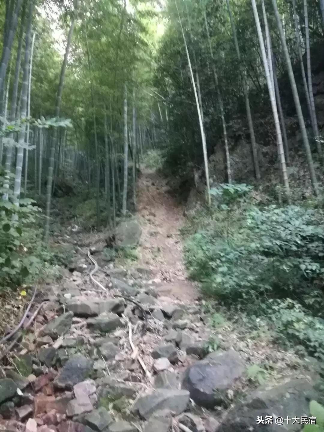 浙江长兴农家乐400元包吃住的民宿,长兴农家乐10月3日到5月三日游