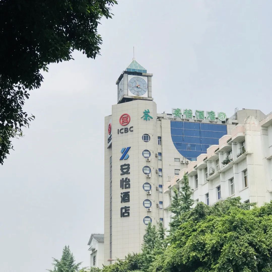 郫县豆瓣酱黑豆瓣,郫县黑豆瓣