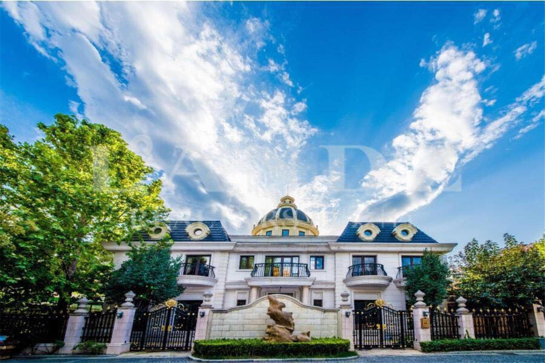 别墅精品豪宅首选,独栋大平层豪宅200-300平