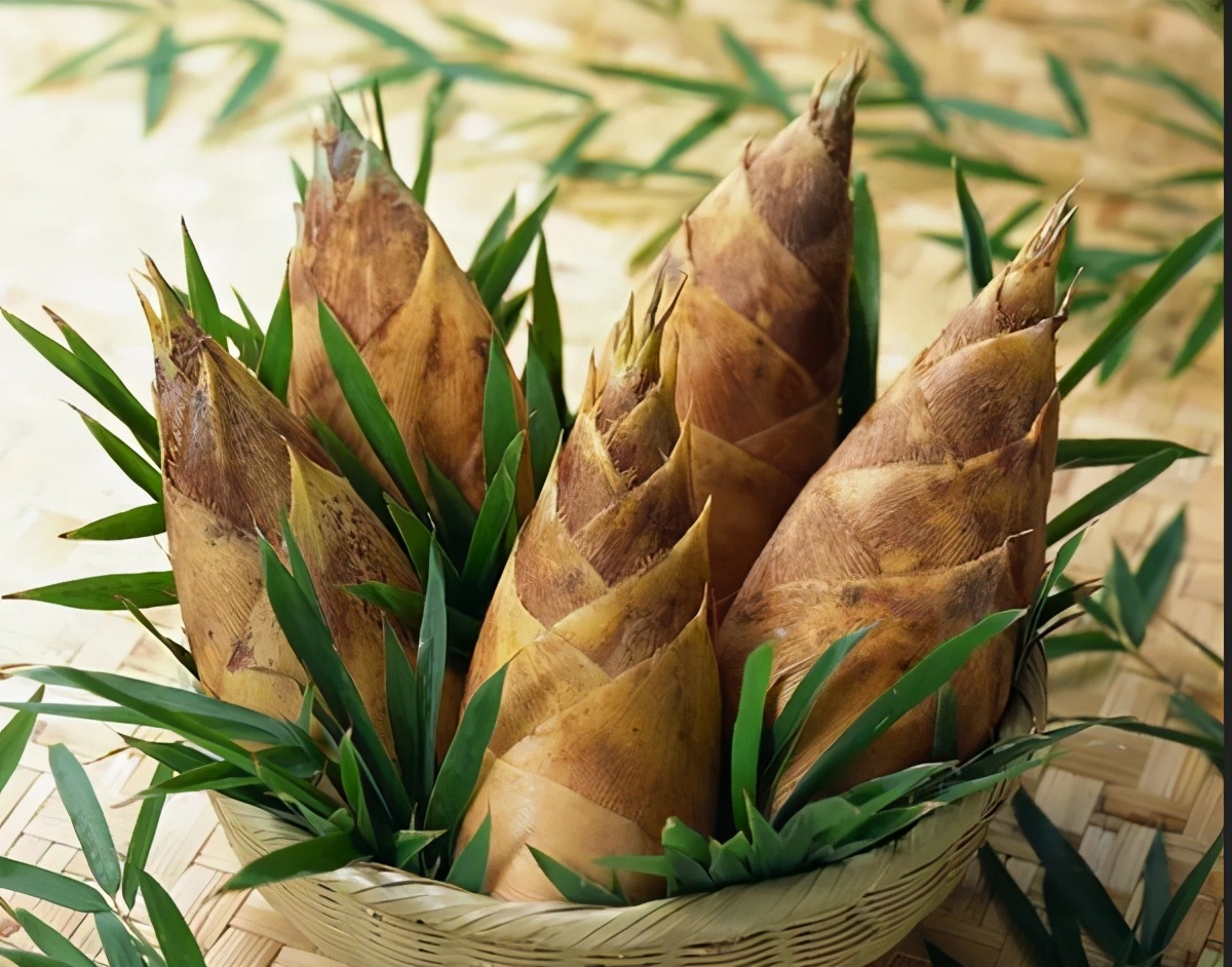 春笋的家常做法春笋焯水后怎么炒,炒春笋时只焯水就错了多加2步