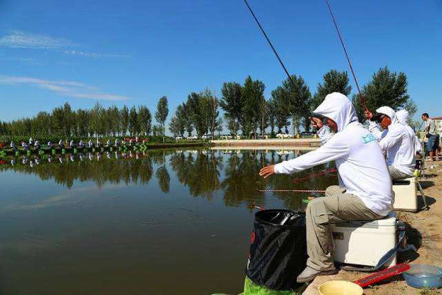 “小黄面”为什么风靡黑坑?它是一种怎样的钓饵,从四个方面探究