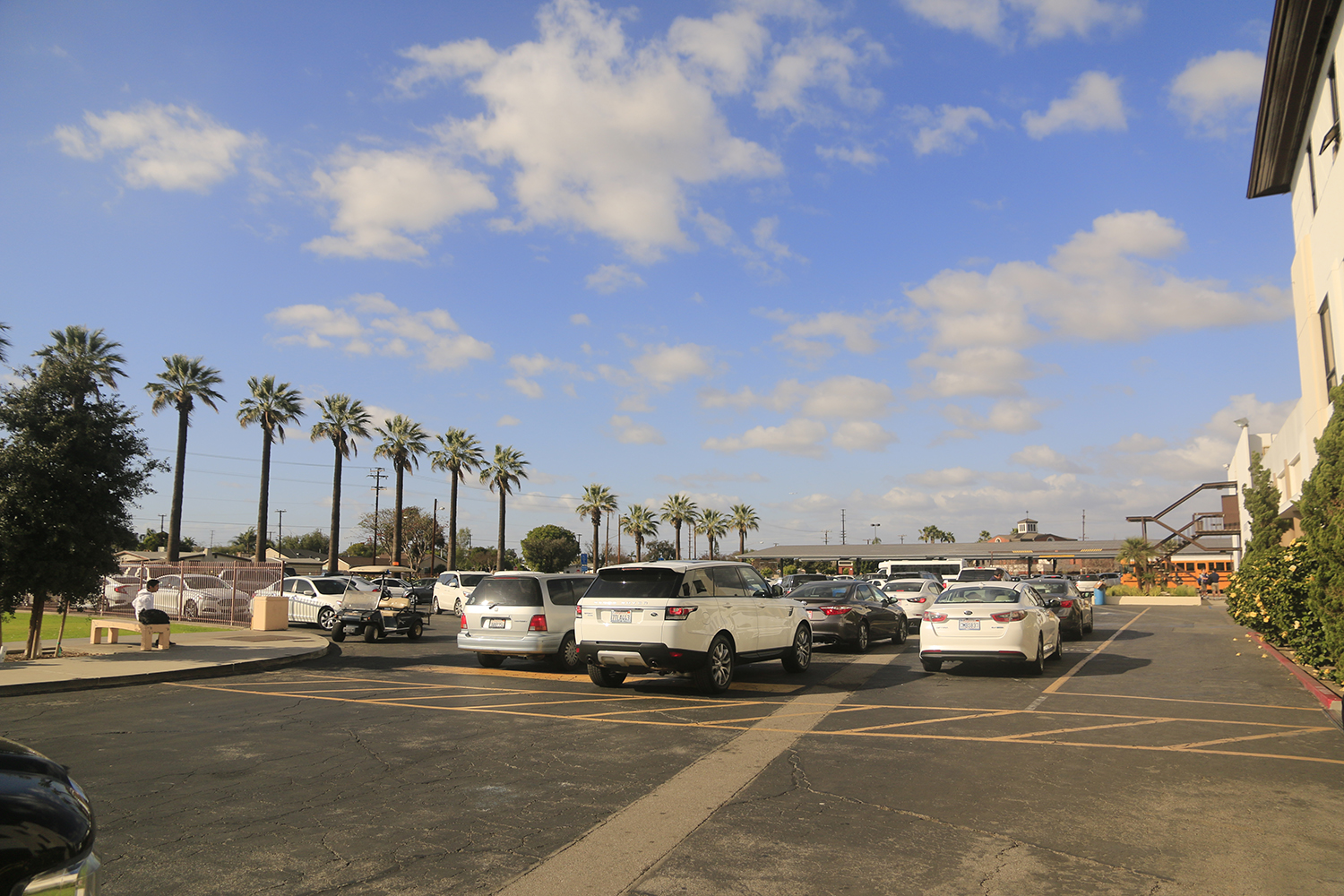 凯斯西储大学世界排名,凯斯西储世界排名