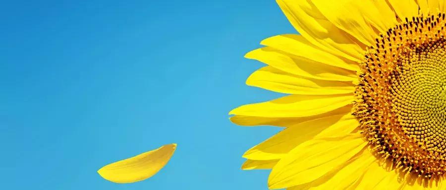 濡備綍鏀句笅鍐呭績鐑︽伡,鏀句笅鐤叉儷鏀句笅鐑︽伡