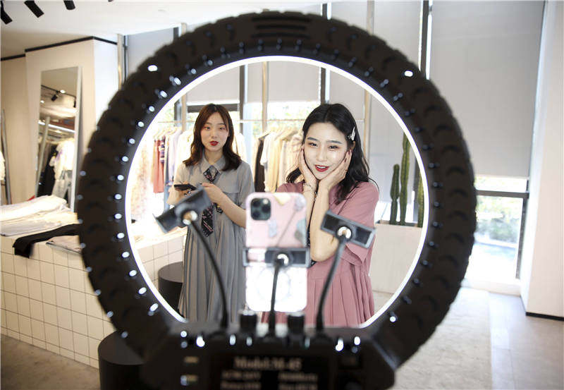 太平鸟和sieg,太平鸟和百灵鸟