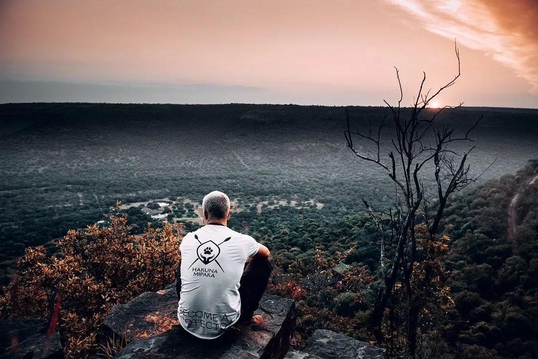 放弃百万年薪，去非洲撸猫？长腿版小李子引63w人舔屏：看我看我