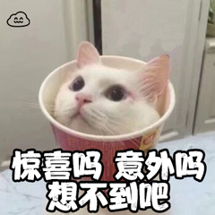 小米手机有分身功能都有哪些型号,小米支持分身的手机