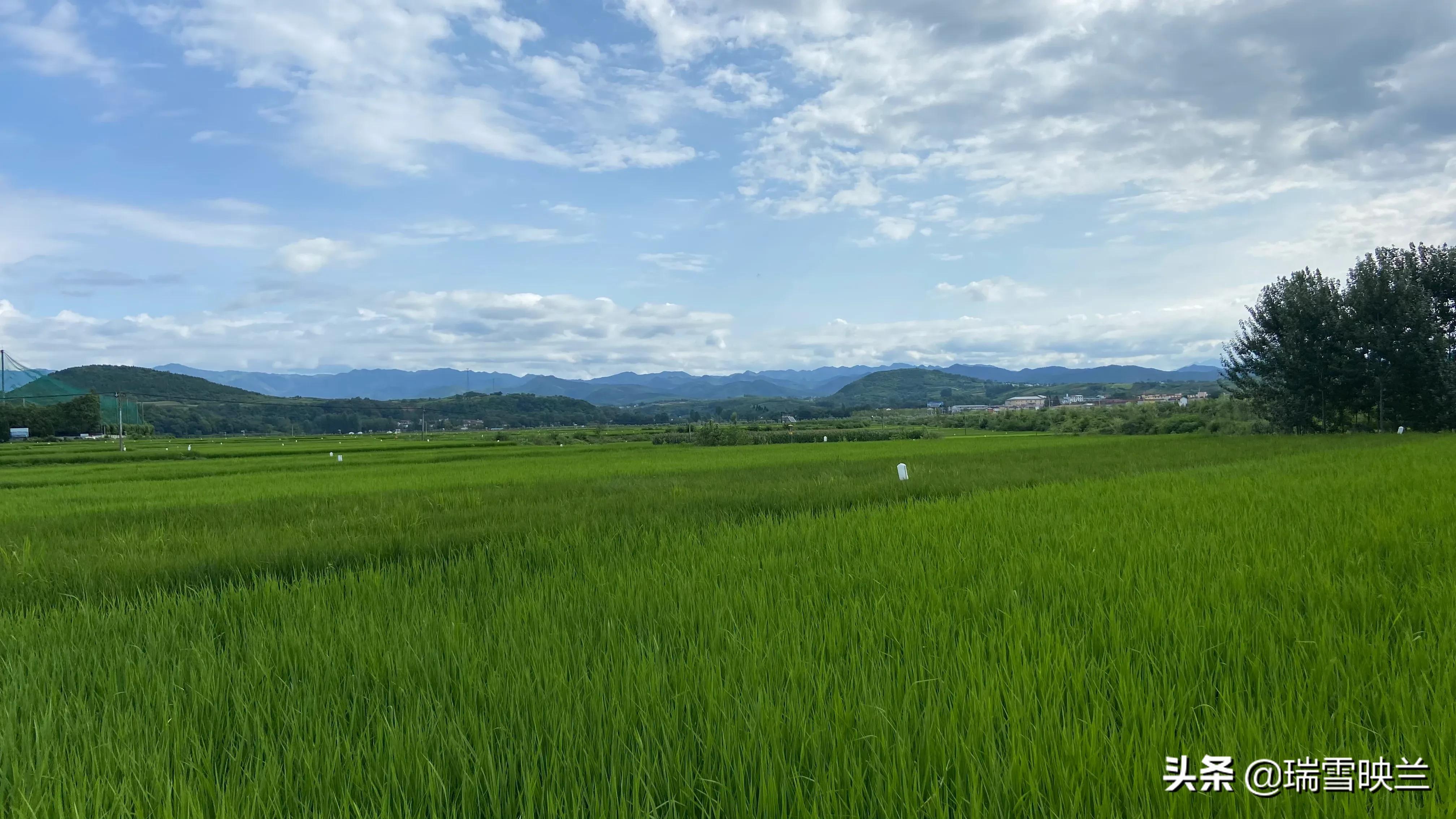 自驾出游第二十二天,自驾旅游第13天攻略大全