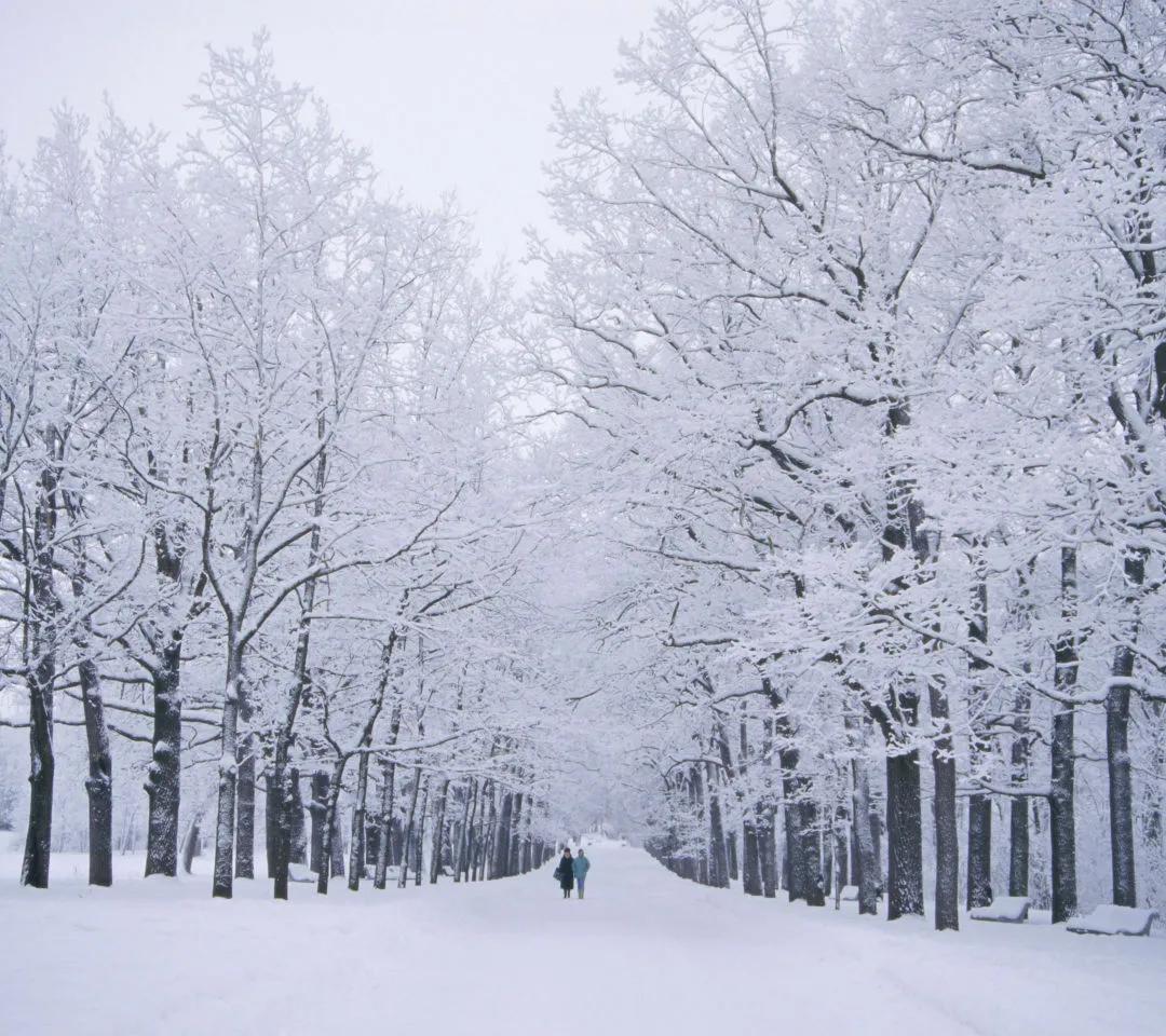 2021年4月26日足球竞彩推荐3场,2021竞彩足球单关结果