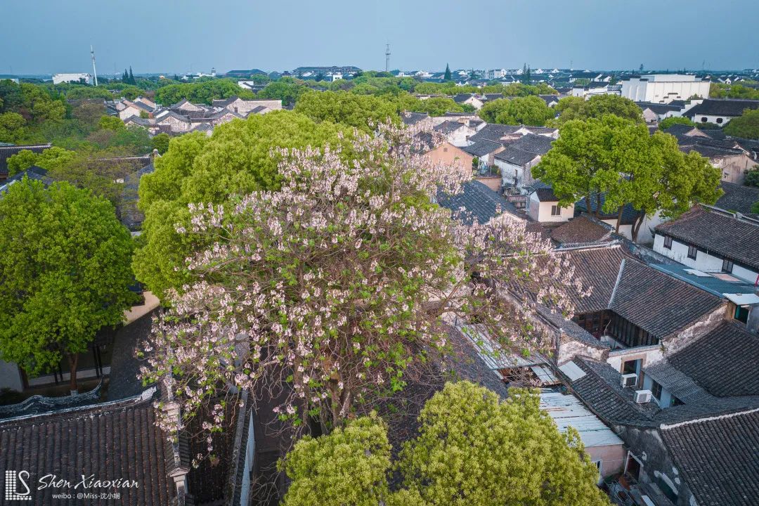 江南六大古镇同里,江南幸福楼同里古镇