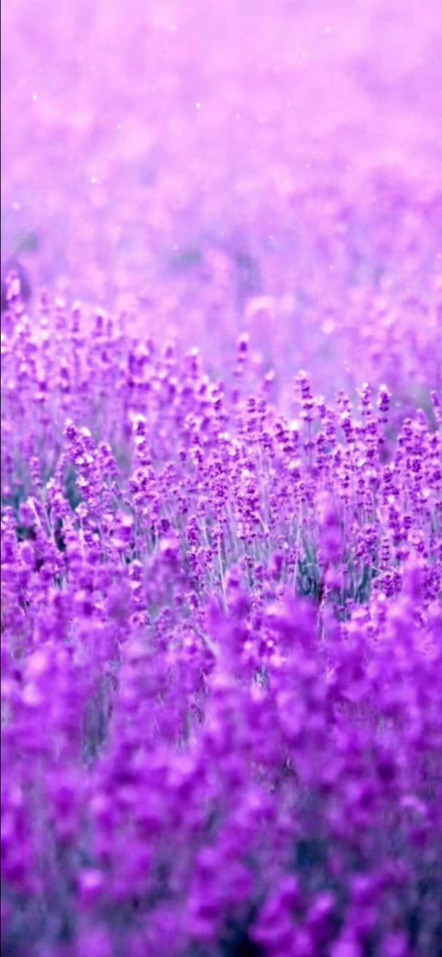 妙笔生花童心飞扬主题作文,妙笔生花作文400字