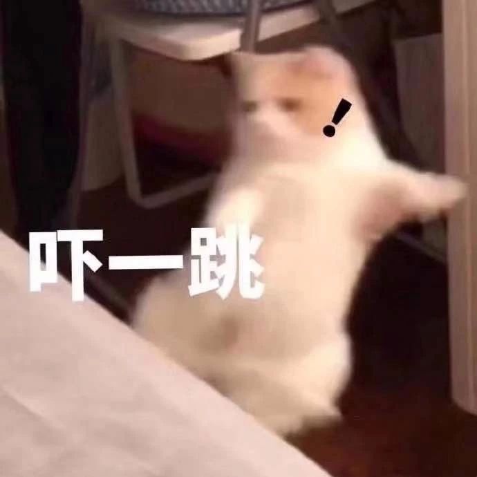 鲸潮丨年轻人不买潮牌，和咸鱼有什么区别？