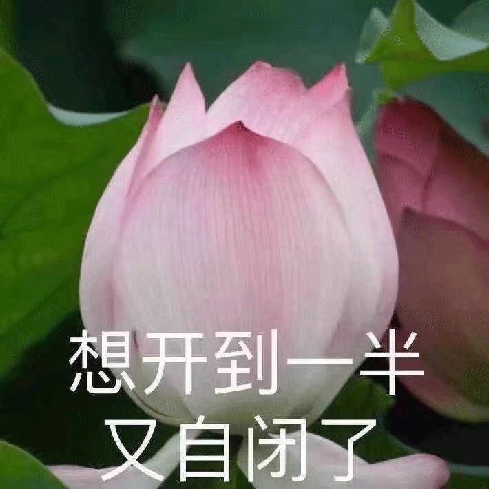 我花了2000块钱接头发,到底值不值?