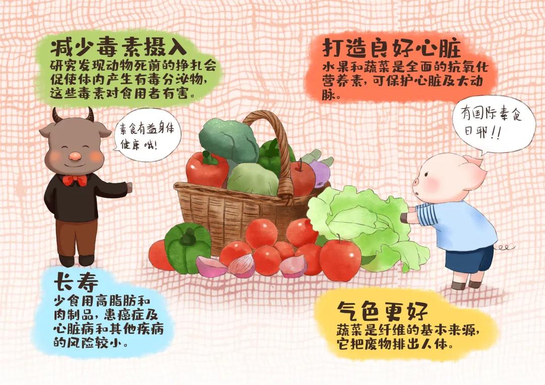 同样都吃素差别太大了,素食与纯素的区别