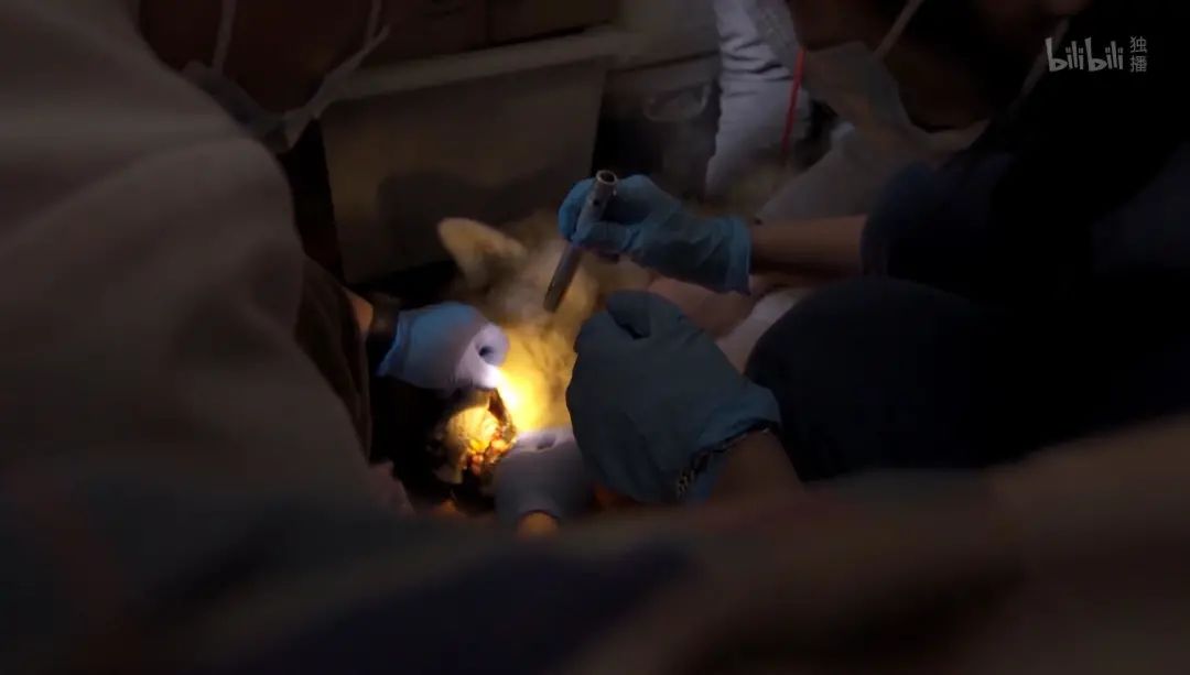 b站高分历史纪录片,2分钟一集的b站纪录片