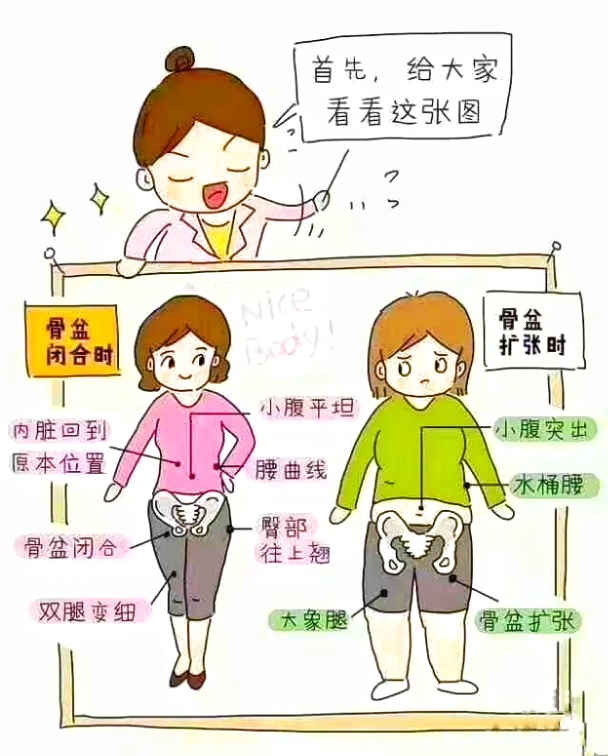 产后女性为什么一定要做骨盆修复？