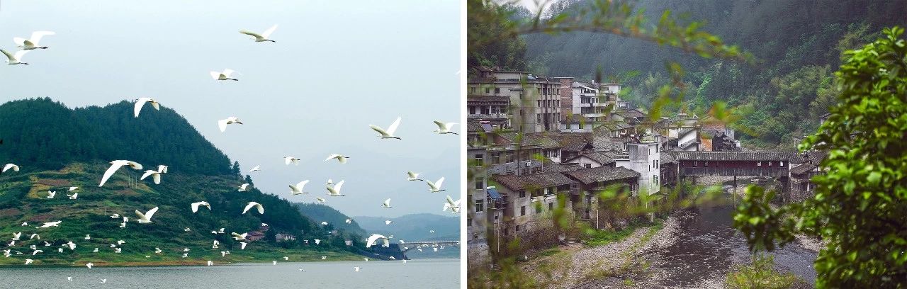 遂昌最漂亮的山路,遂昌最深的景点