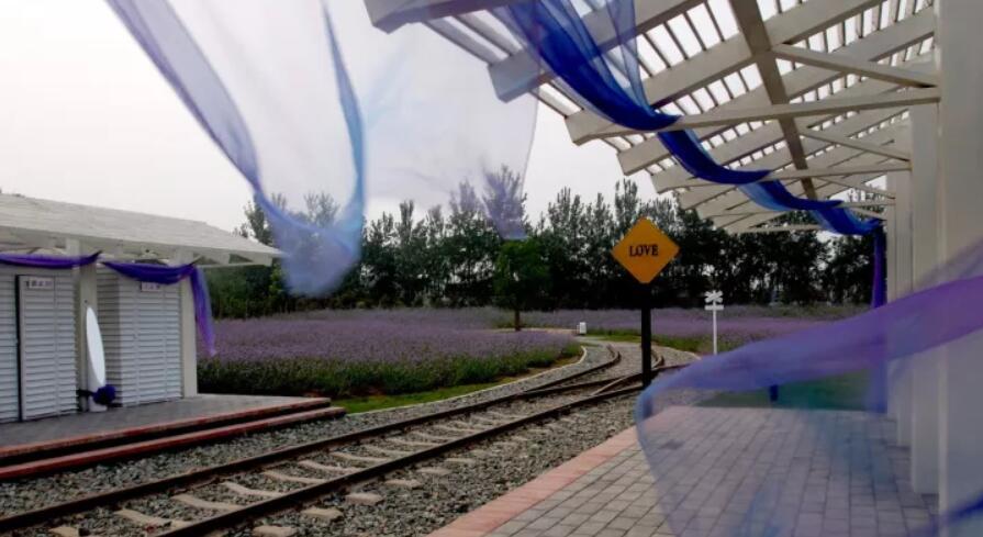 薰衣草庄园游玩,薰衣草庄园几月去最好玩呢