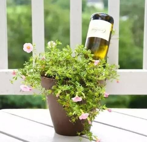 出差浇花神器会不会把水溢出,浇花神器假期出差自动浇水