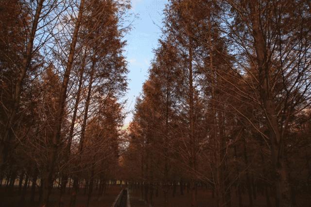 豪横必须要有实力吗,太仓未来发展潜力