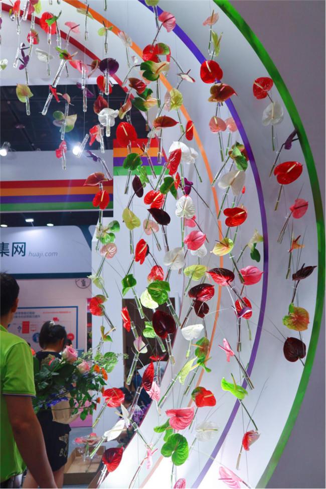 让人惊艳的花展,花展上看到的美到窒息