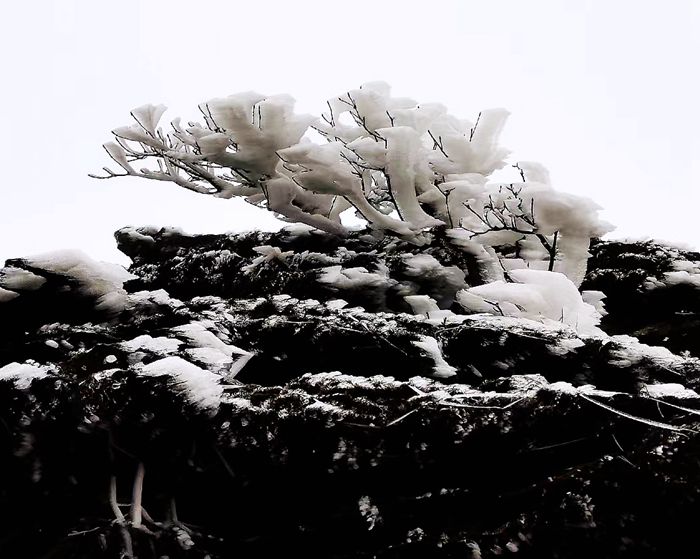 雨中的梵净山景色,烟雨梵净山