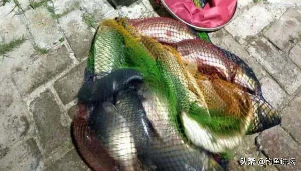 传统钓过程中怎样避免小鱼闹钩,防小鱼闹钩最有效方法