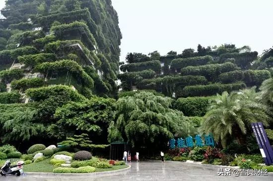 碧桂园财报解读,碧桂园一季报