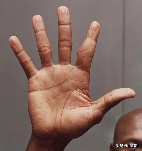 乔丹手指怎么断的说法,乔丹的手指怎么切断的视频