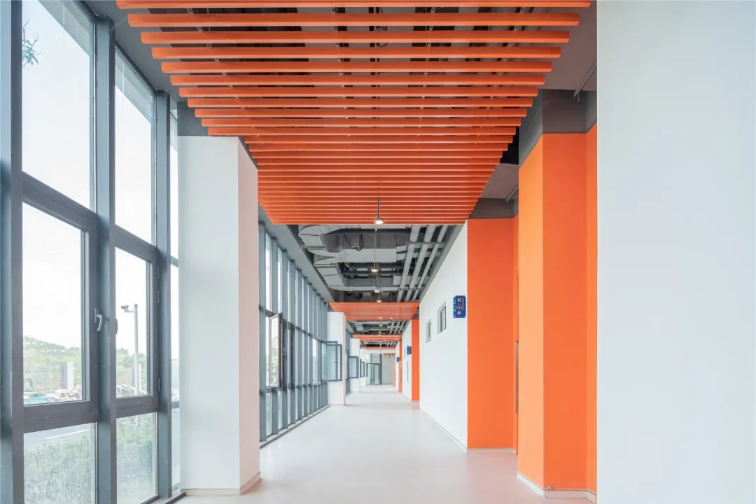 中国科学院大学(青岛)附属学校|北洋设计