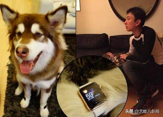 王思聪多少钱买的鸭子,王思聪买的什么鸭