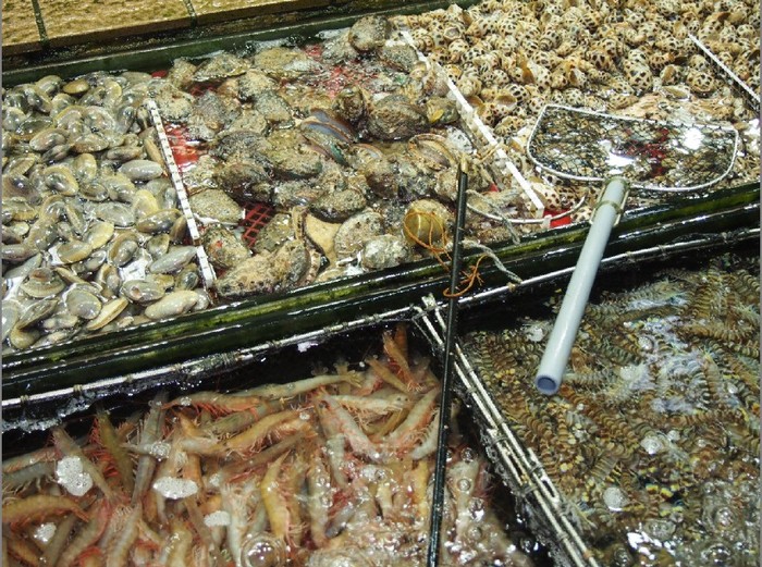 香港人气爆满的30年地道美食,盘点我吃过的海鲜美食