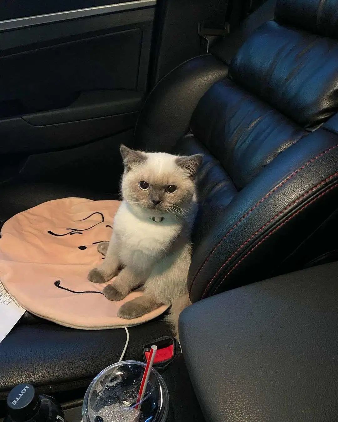 煤老板爆红完整版,煤老板ins