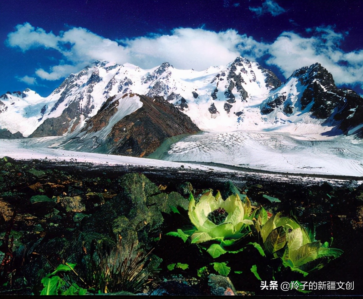 新疆博格达简介,哈萨克族的保护神