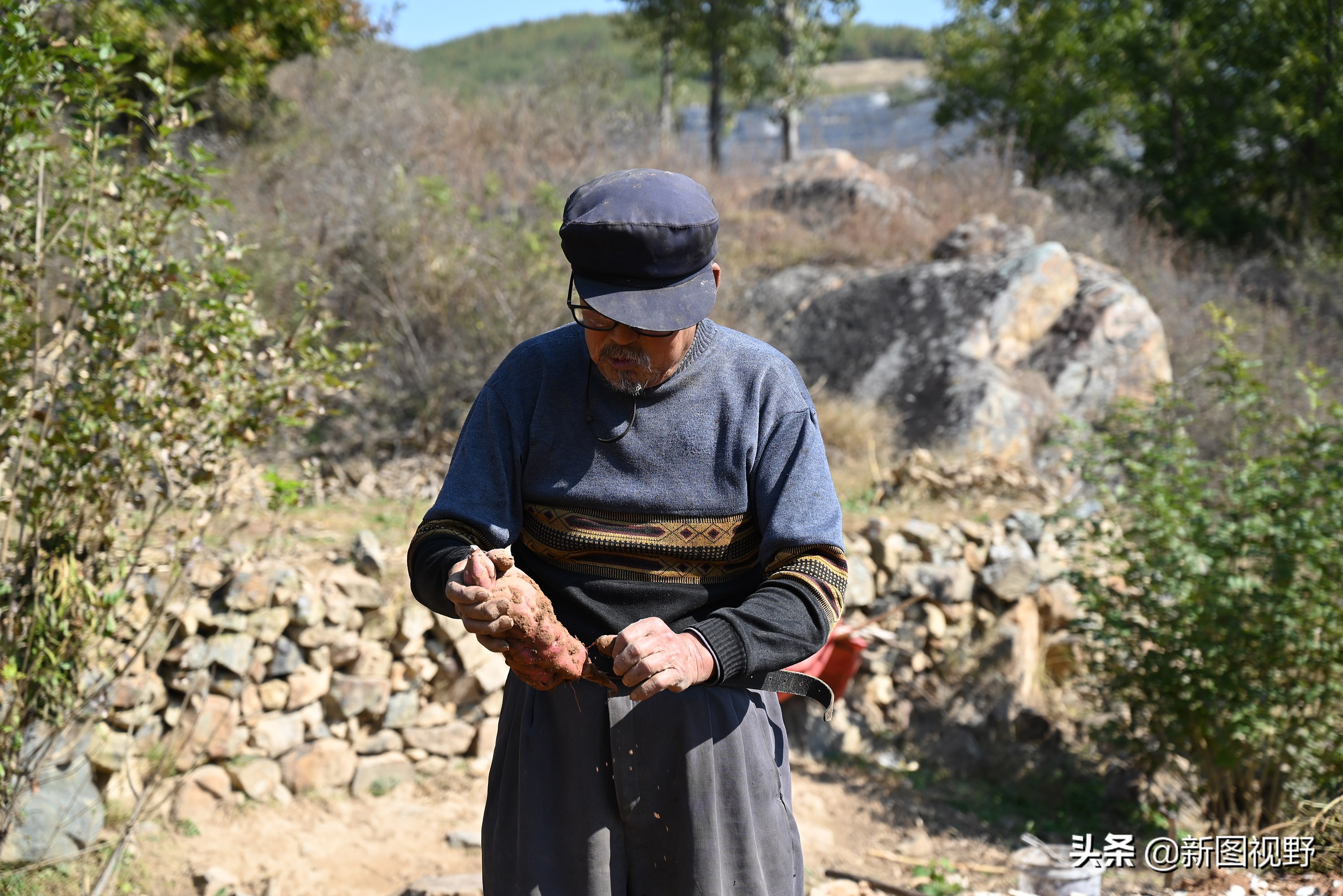 70岁老人养100条流浪狗,80岁老人独居深山养了两只鸟作伴