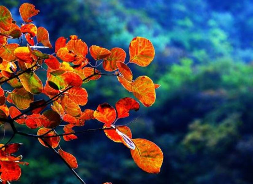 人生真正的迷茫从四十岁开始,人到中年开始思考人生的苦涩了吗