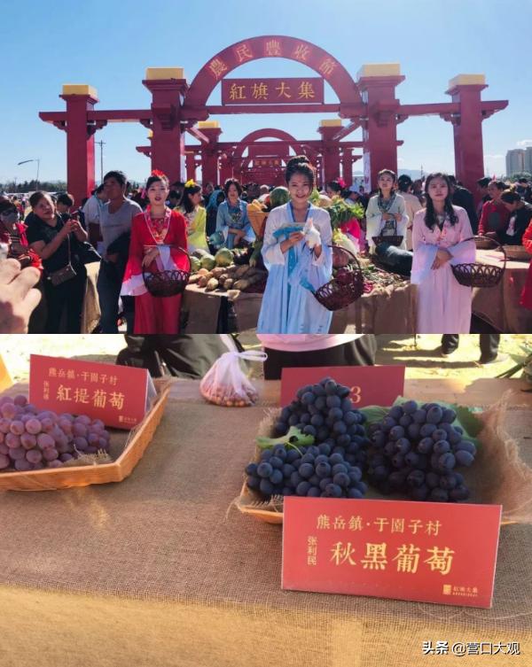 五一期间鲅鱼圈红旗大集开吗,鲅鱼圈红旗大集赶集