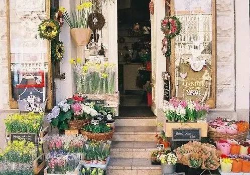 以后一定要开个花店,现在开个花店好吗
