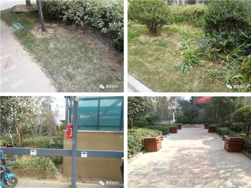 郑州物业好的多层小区推荐,锦华物业在郑州有哪些小区