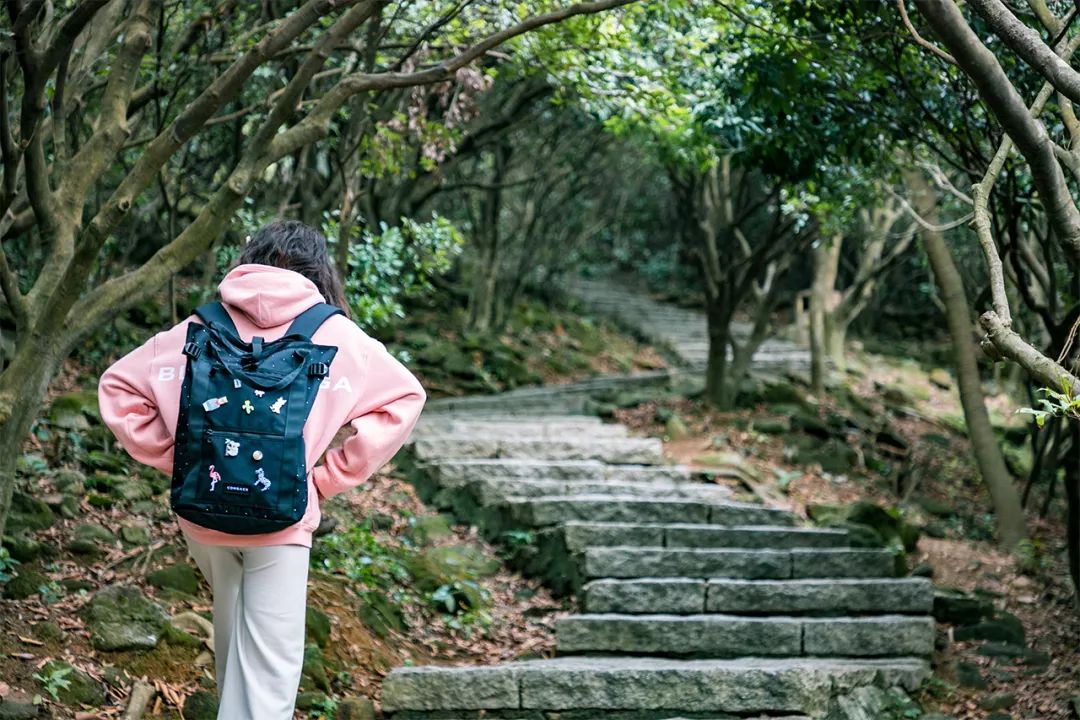 深圳值得去的地标,深圳值得去的景点排行榜