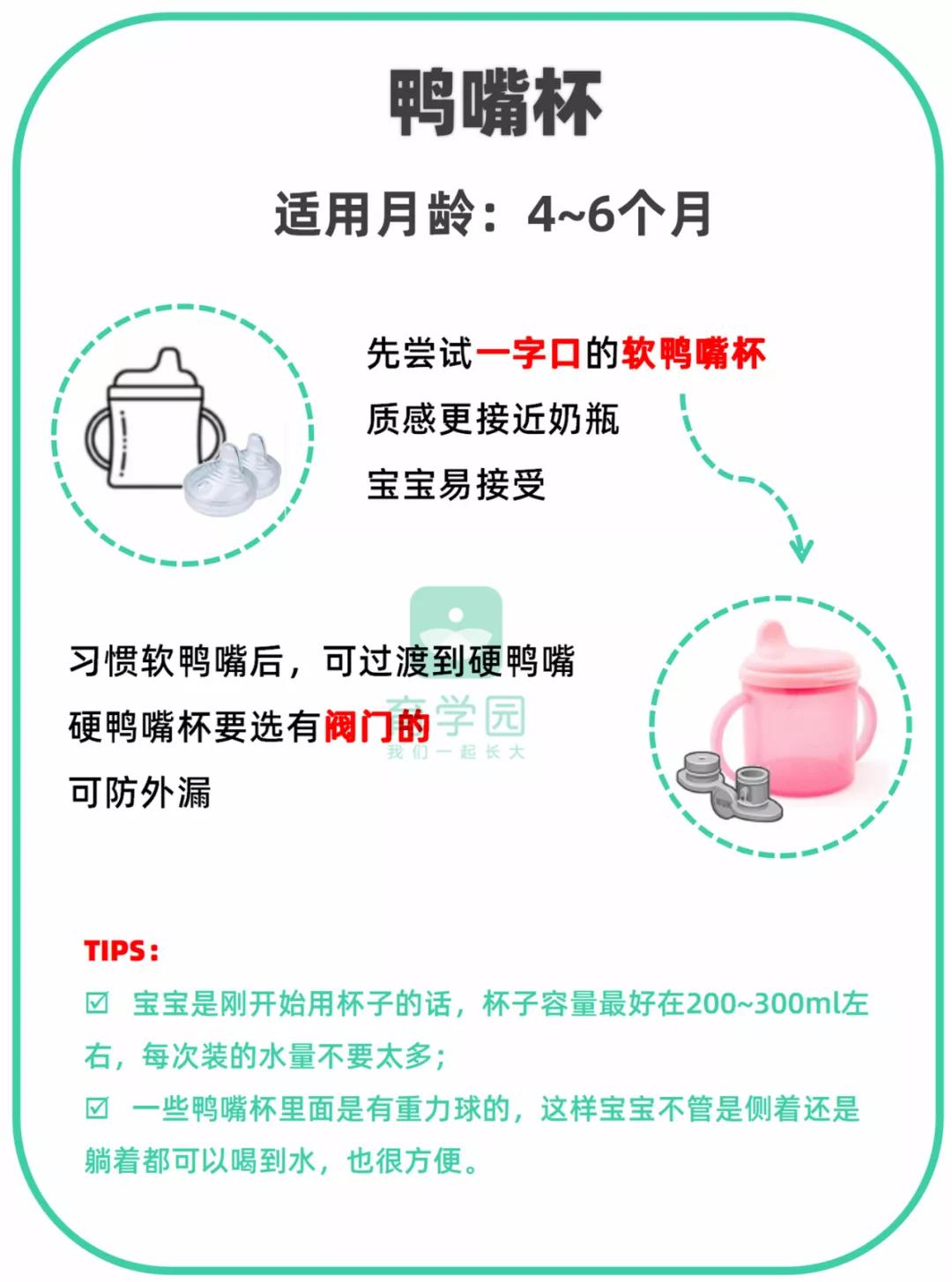 宝宝奶瓶鸭嘴杯和吸管杯讲解,奶瓶鸭嘴杯吸管杯最适合的年龄段