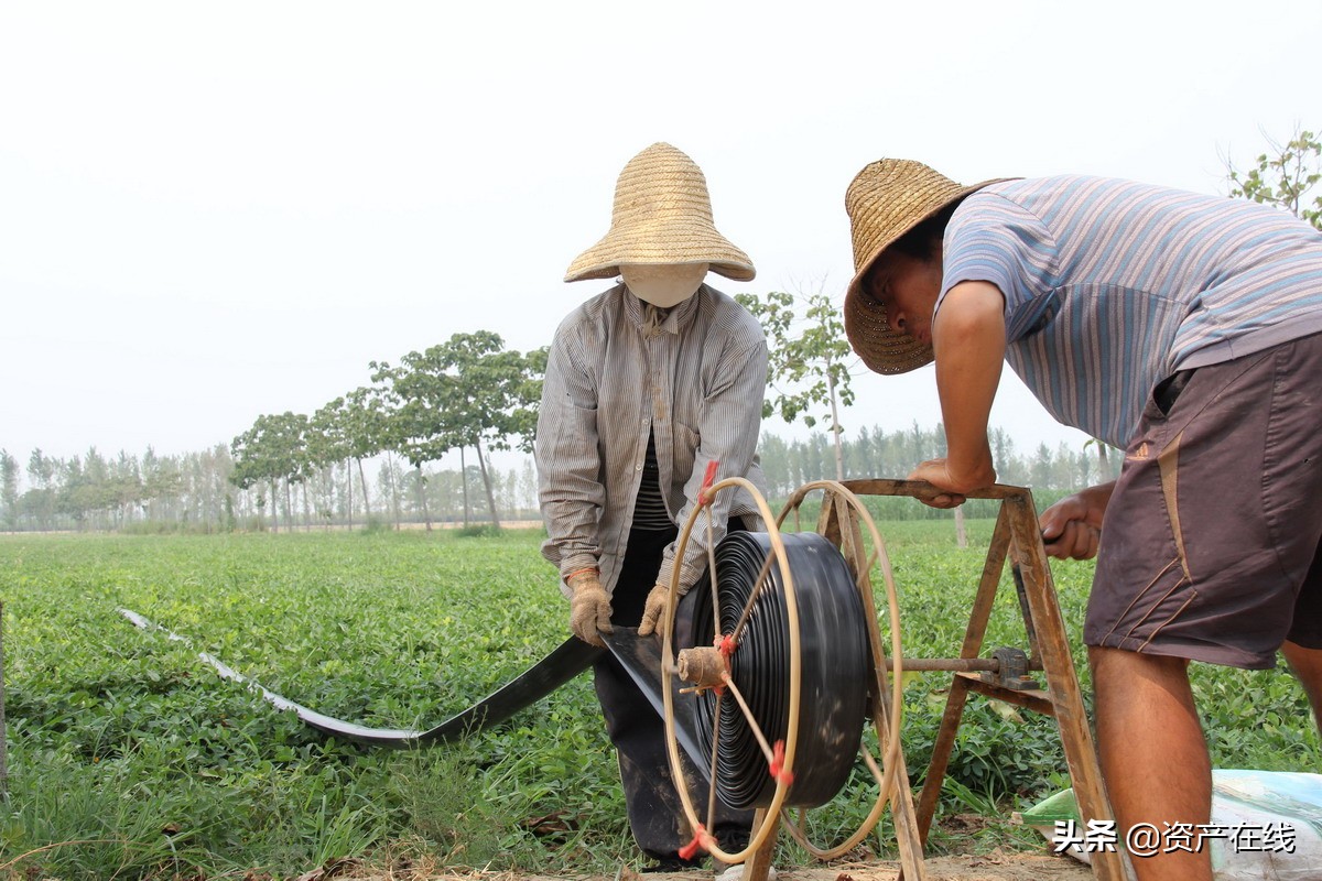 桂平莫某某,海南莫某某